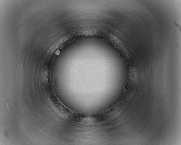 X0000103470212200809191843