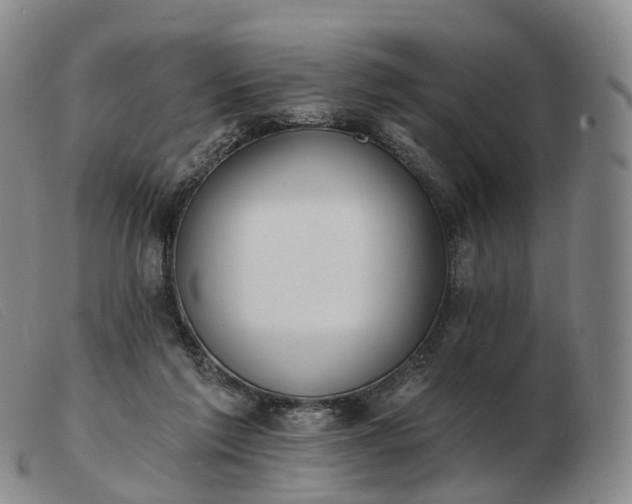 X0000103470213200809191843