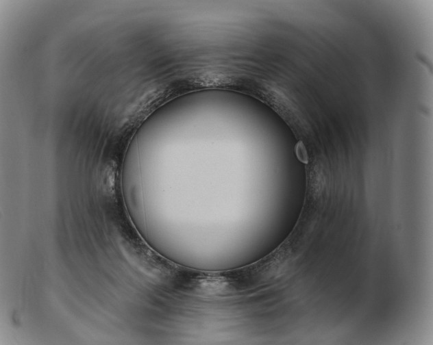 X0000103470214200809191843