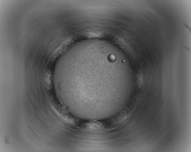 X0000103470215200809191843