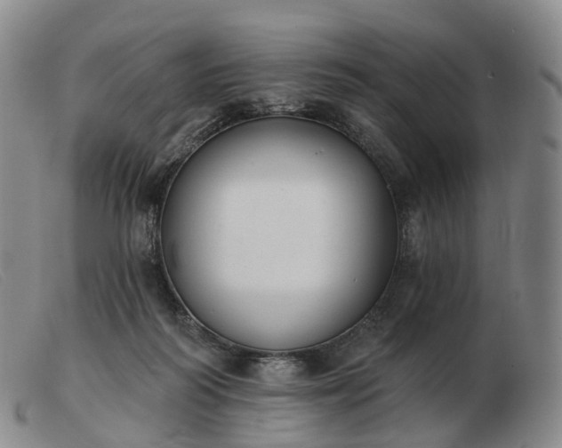 X0000103470218200809191843