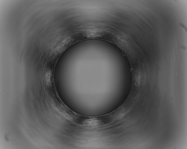 X0000103470219200809191842