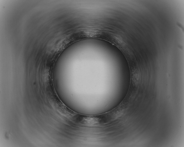 X0000103470221200809191842