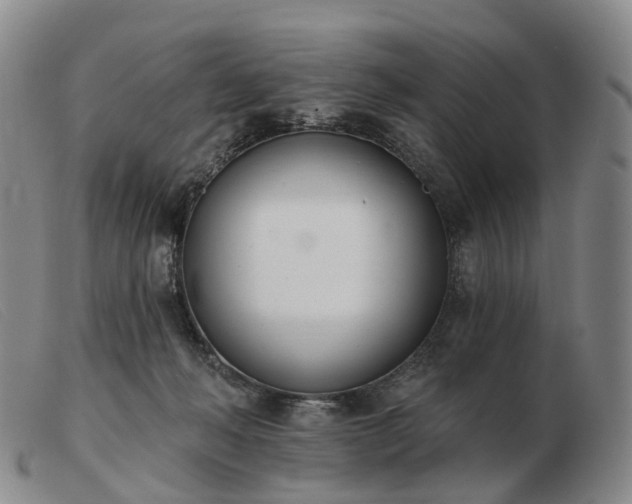 X0000103470222200809191842