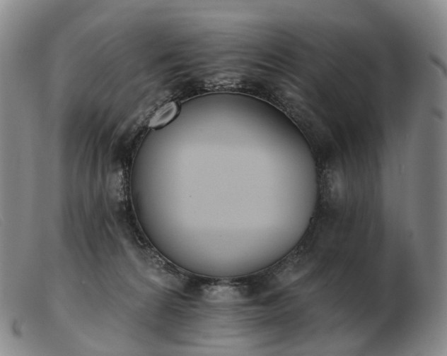 X0000103470224200809191842