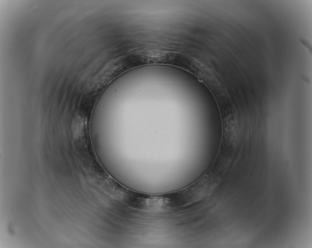 X0000103470225200809191842