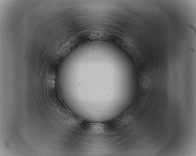 X0000103470226200809191842