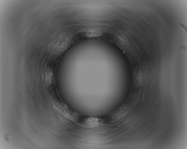 X0000103470227200809191842