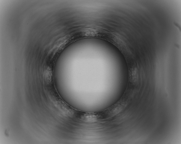 X0000103470228200809191842