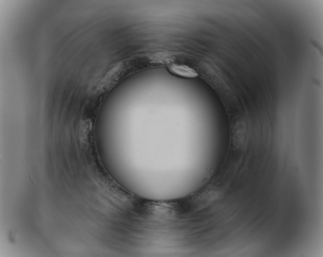 X0000103470229200809191842