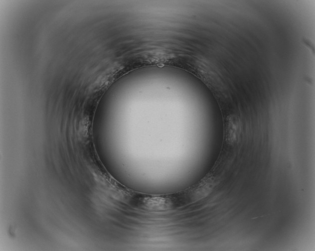 X0000103470230200809191842