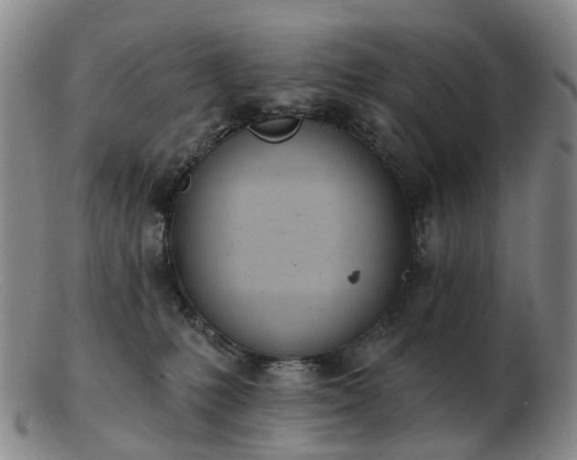 X0000103470231200809191842