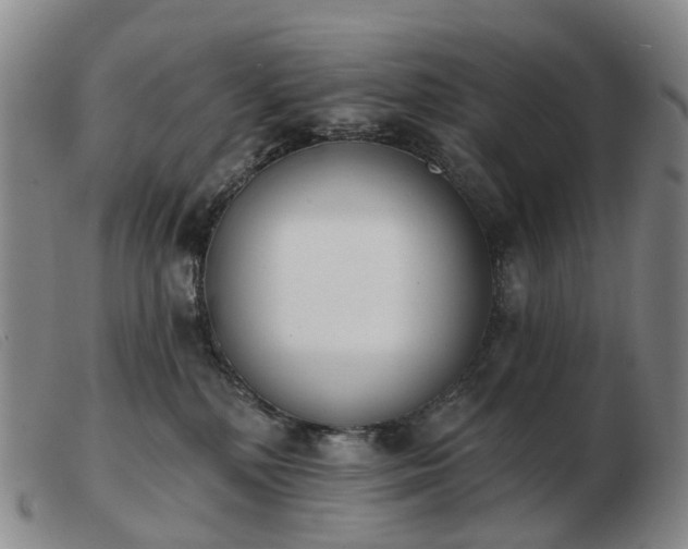 X0000103470232200809191842