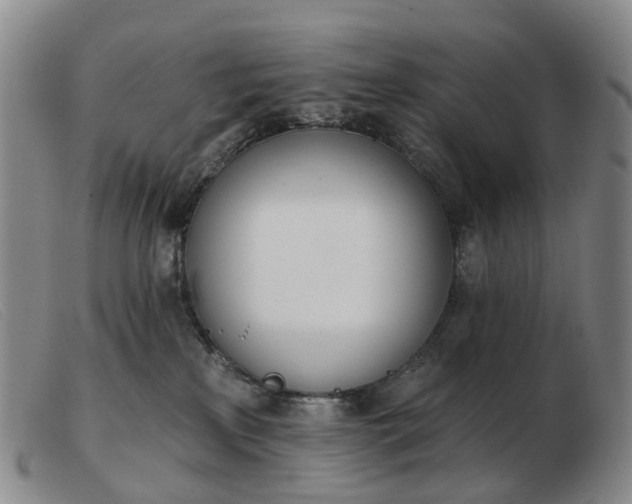 X0000103470233200809191842