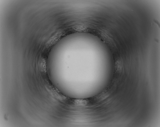 X0000103470234200809191842