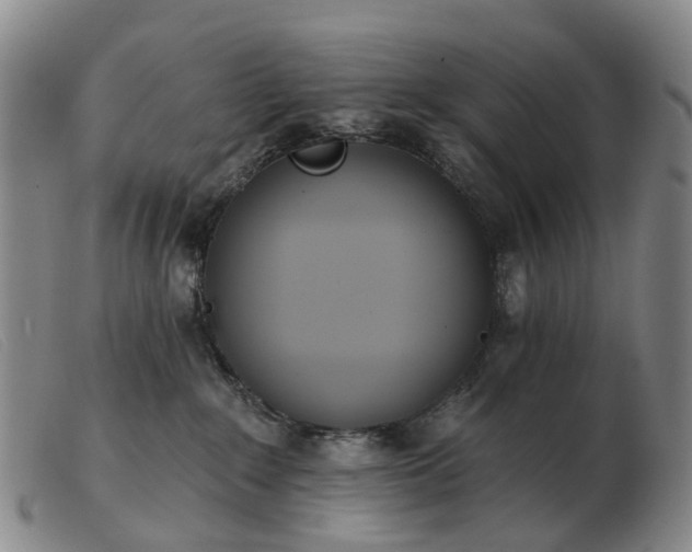 X0000103470235200809191842