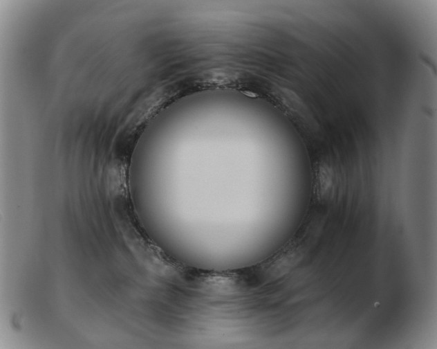 X0000103470236200809191842