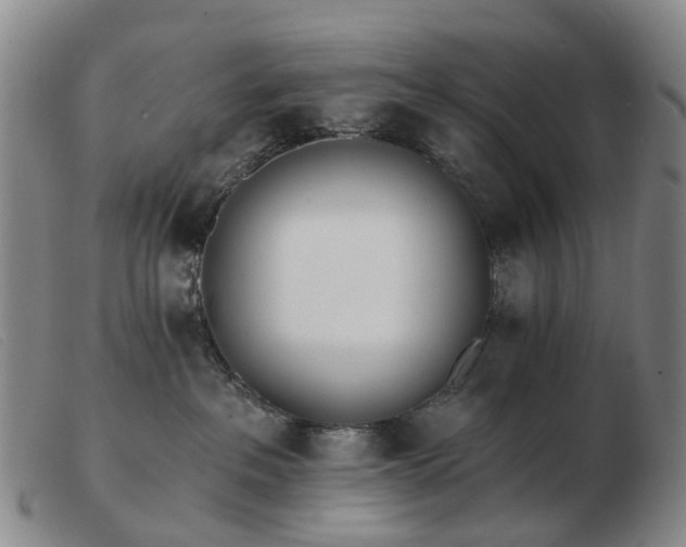 X0000103470237200809191842