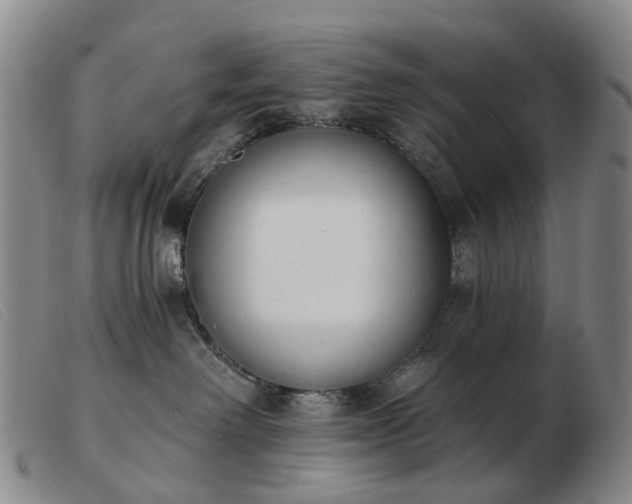 X0000103470238200809191842