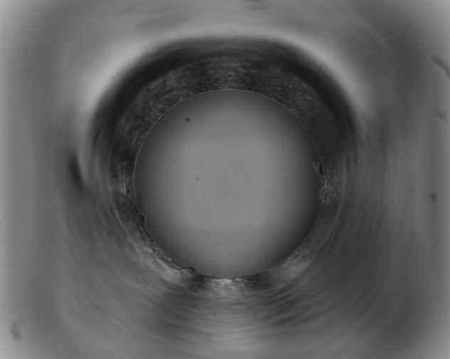 X0000103470239200809191842