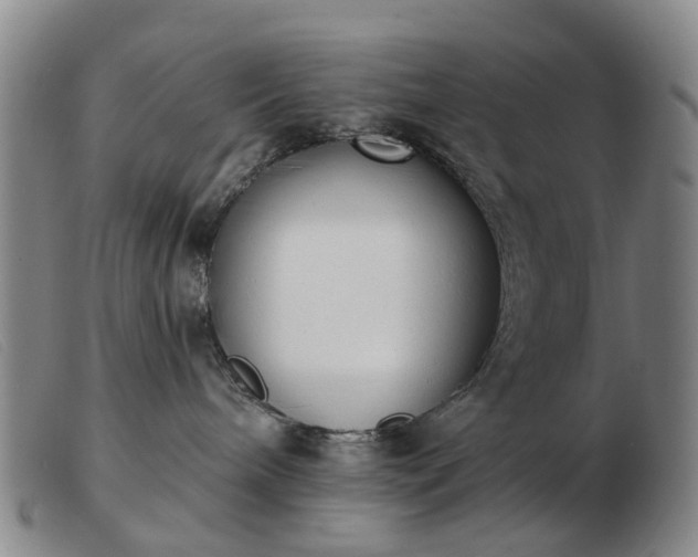 X0000103470240200809191842