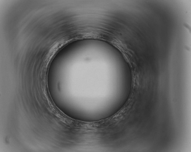 X0000103470241200809191842