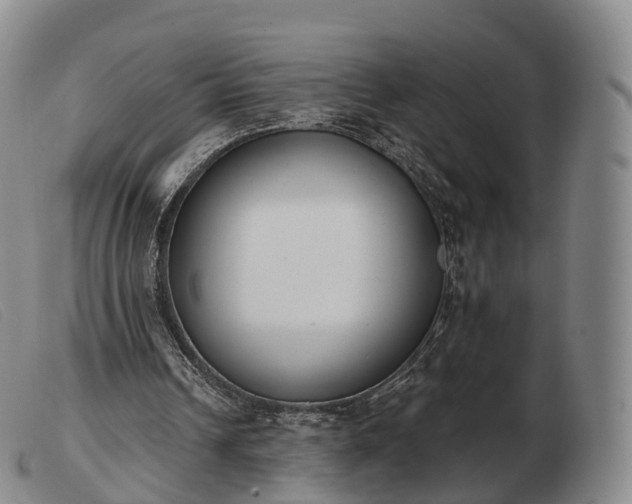 X0000103470242200809191842