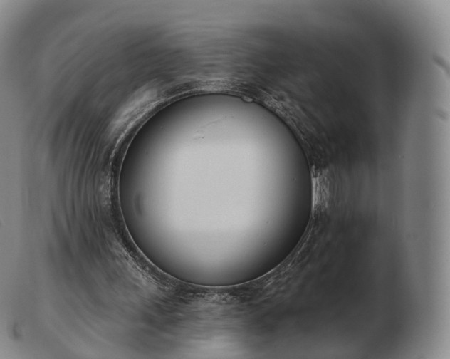 X0000103470243200809191842