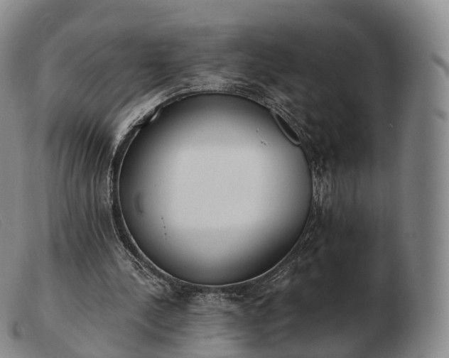 X0000103470244200809191842