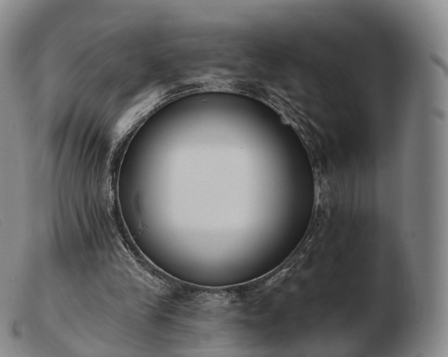 X0000103470245200809191842