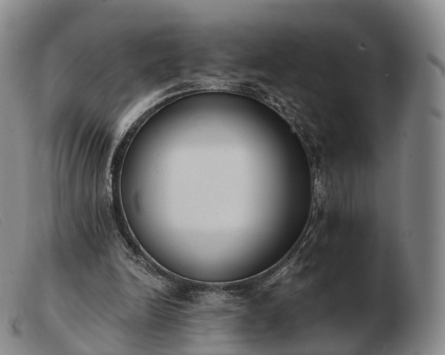 X0000103470246200809191842