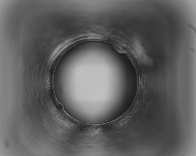 X0000103470247200809191842