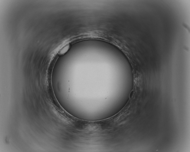 X0000103470248200809191842