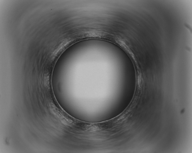 X0000103470249200809191842