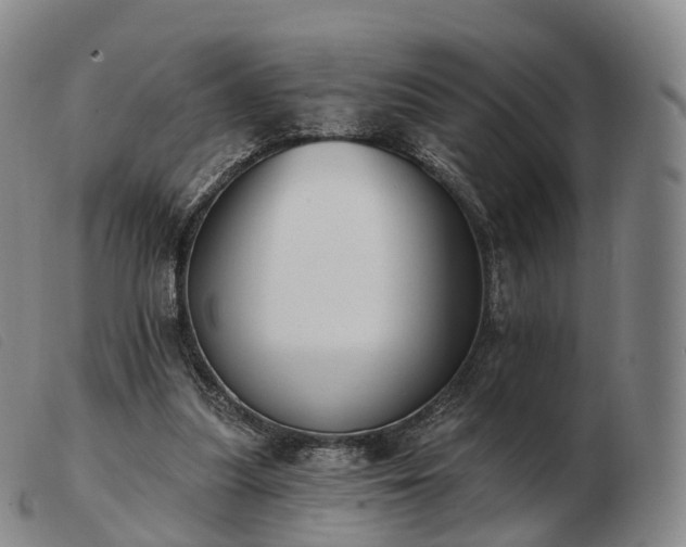 X0000103470251200809191842