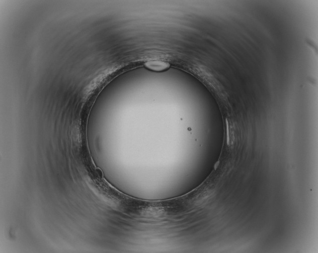 X0000103470252200809191842