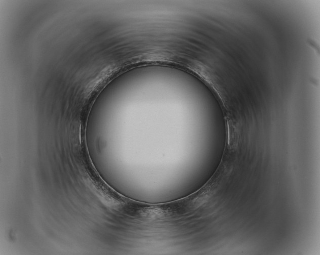 X0000103470253200809191842