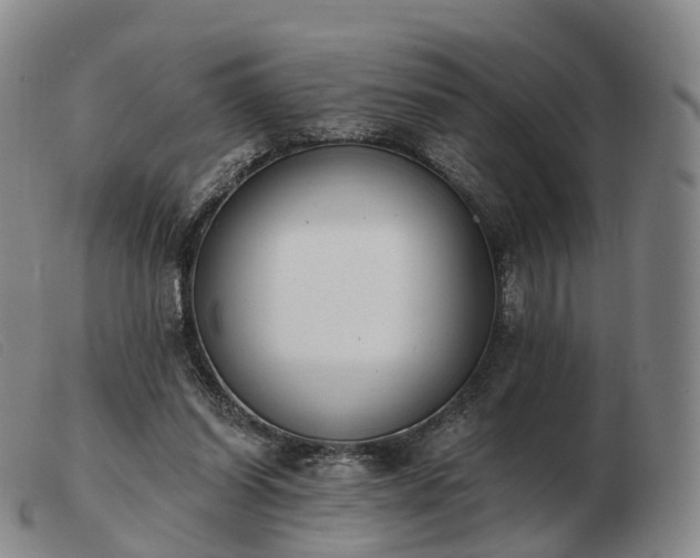 X0000103470254200809191842