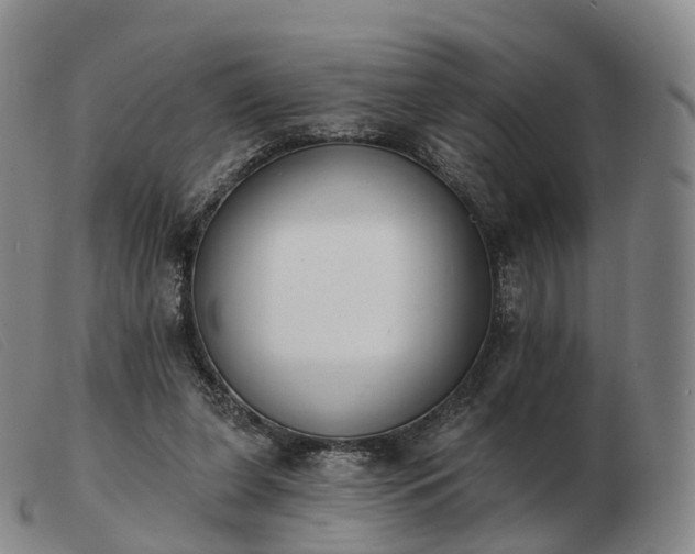 X0000103470255200809191842