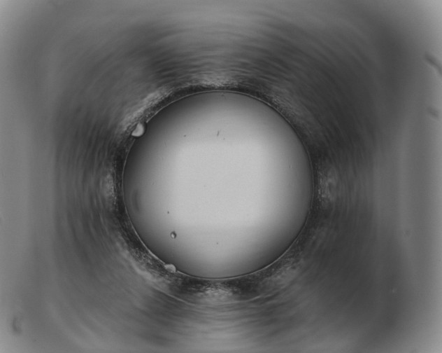 X0000103470256200809191842