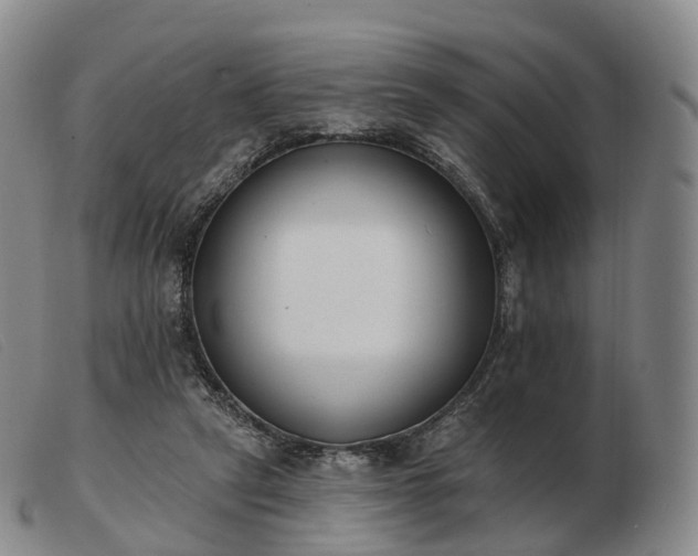 X0000103470257200809191842