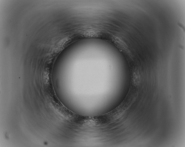 X0000103470259200809191842