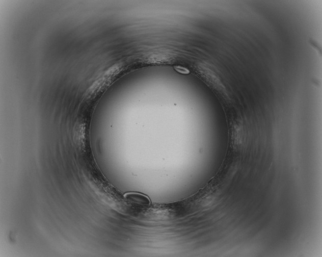 X0000103470260200809191842