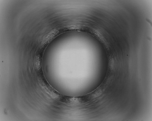 X0000103470261200809191842