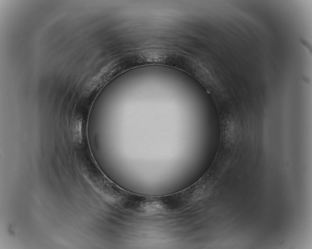 X0000103470262200809191842