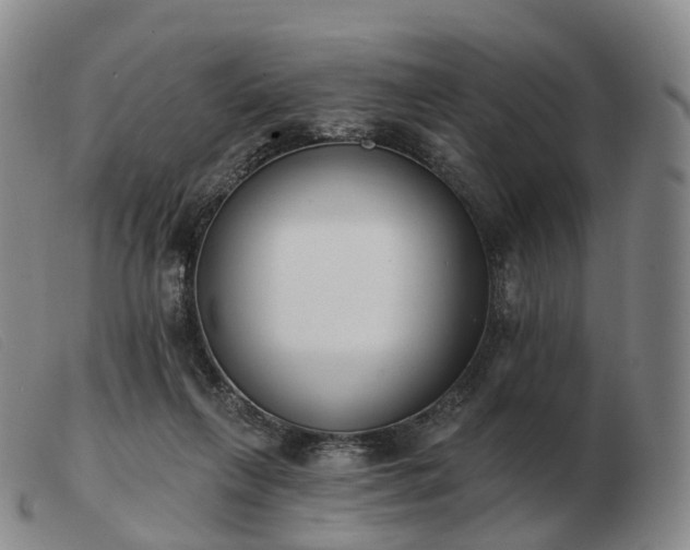 X0000103470263200809191842