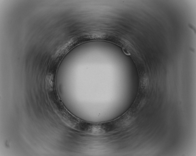 X0000103470264200809191842