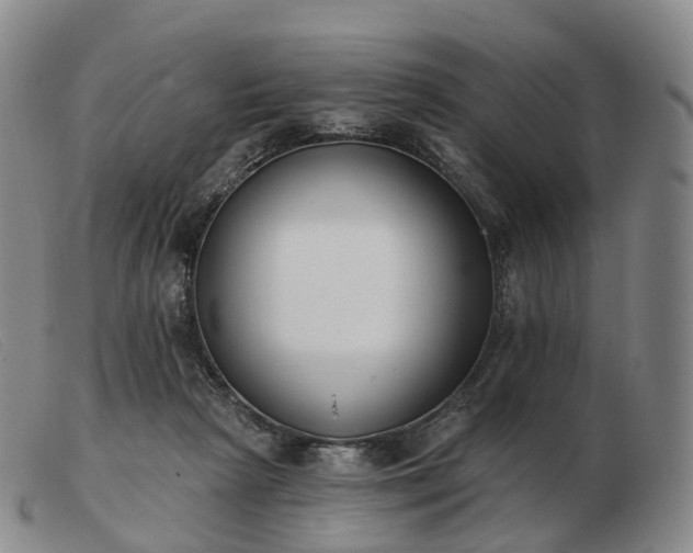 X0000103470265200809191842