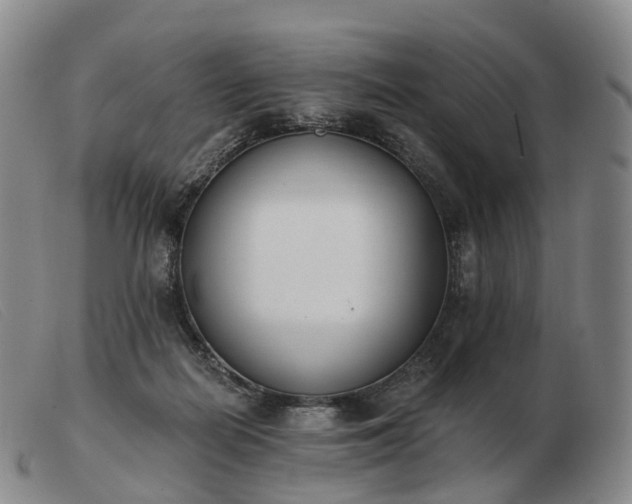 X0000103470266200809191842