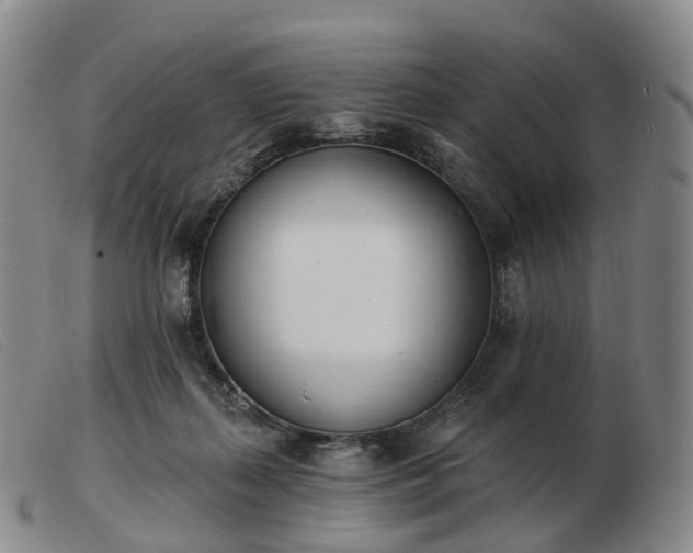 X0000103470267200809191842